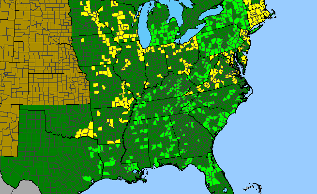 The range of Platanthera flava var. flava